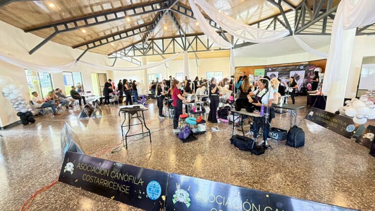 Competencia de grooming con Consentidos Pet, foto 10 de 33
